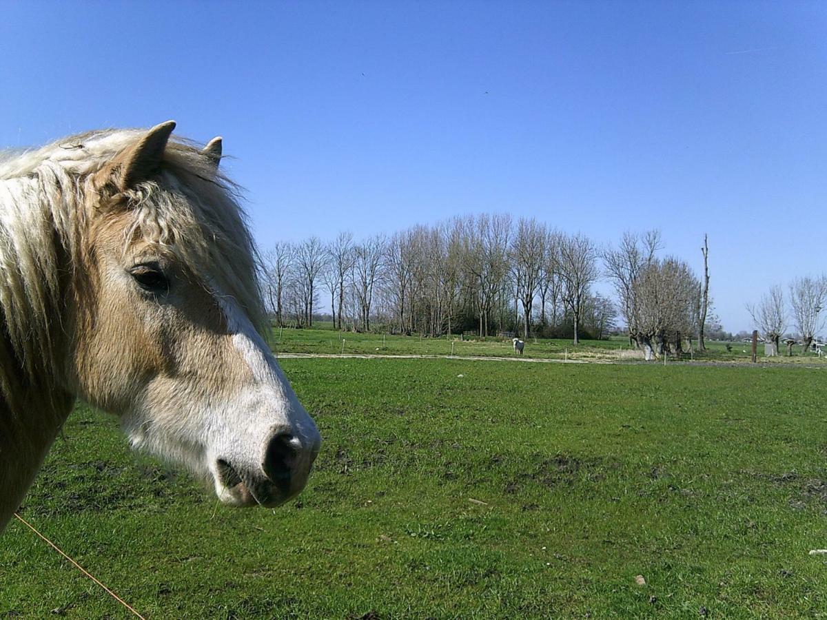 Bedstay41 Oudewater Eksteriør bilde